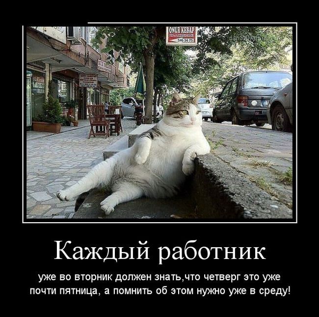 Сборник демотивационных приколов