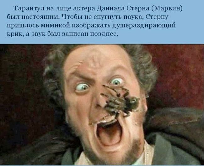 Интересные факты о съёмках комедии «Один дома»