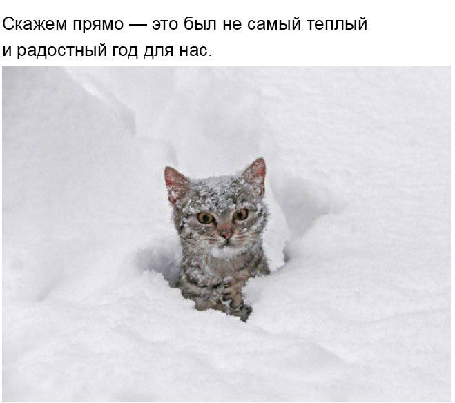 Подведем итоги уходящего года