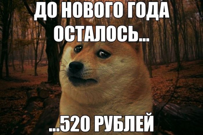 Мега подборка фотоприколов и позитивных картинок