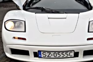 Сам собрал свой MCLAREN F1