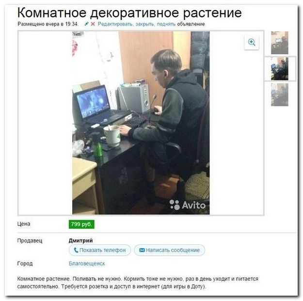 Смешные комментарии из социальных сетей