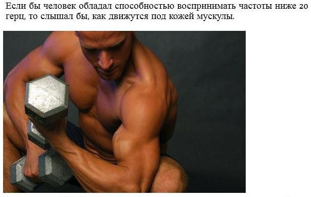 Интересные факты обо всём