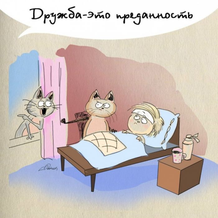 Дружба - это...