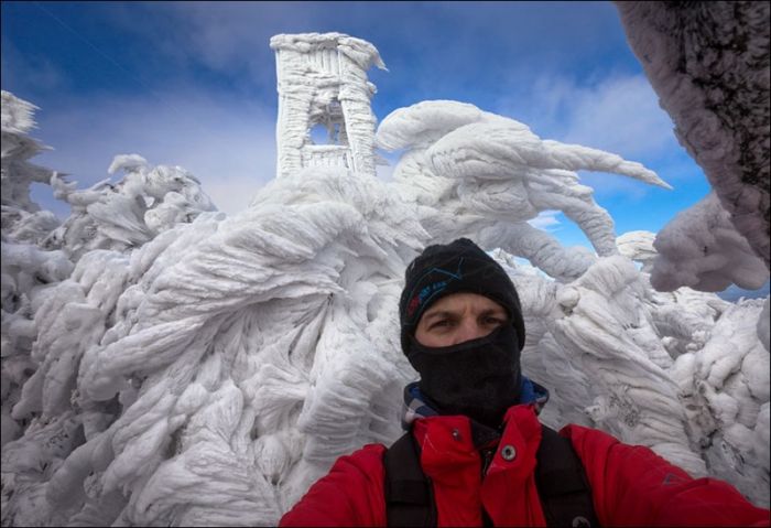 Ледяное царство