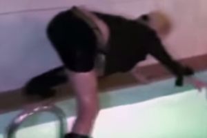 Свежие приколы января