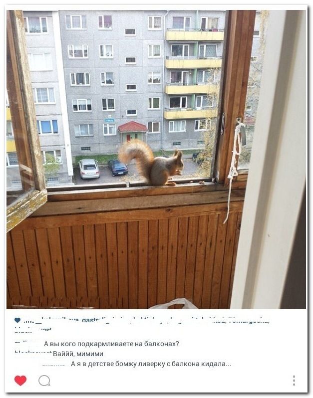 Смешные комментарии из социальных сетей