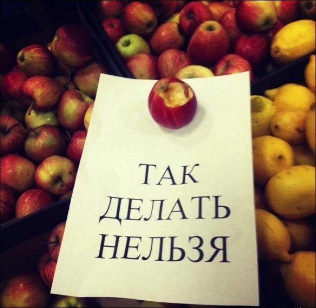 Забавные надписи и объявления