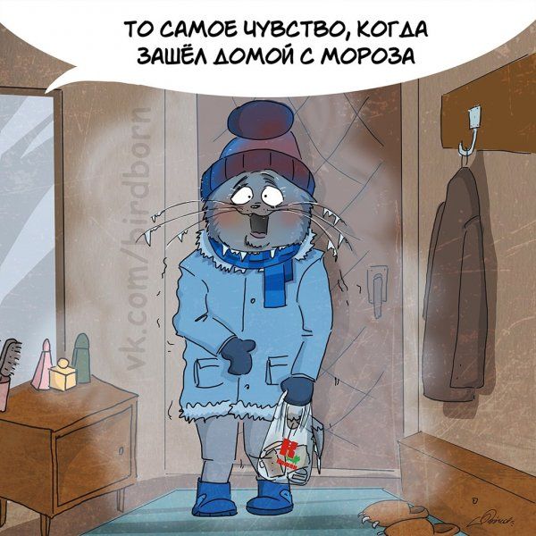 Причины любить Зиму