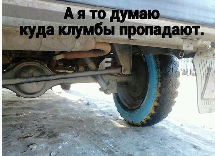 Классный сборник прикольных фотографий