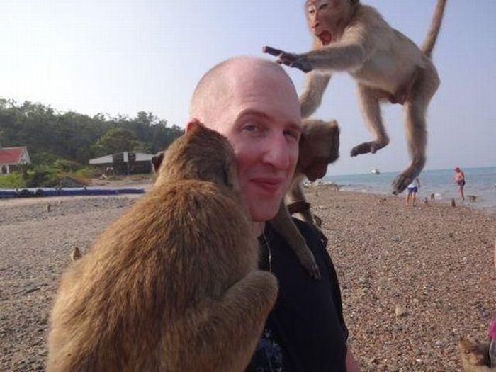 Забавные фотобомбы