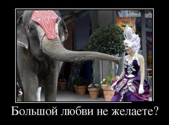 Сборник демотивационных приколов