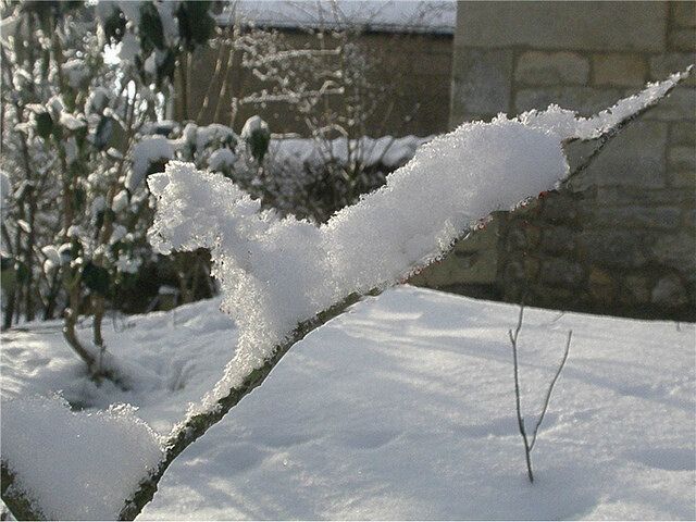 Природные скульптуры