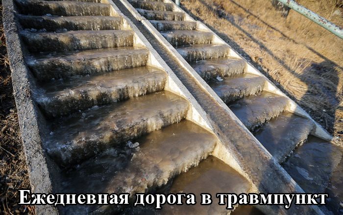 Веселая подборка фотоприколов и просто классных фото