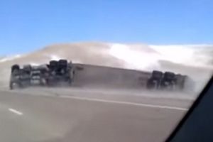 Унесенные ветром на дороге