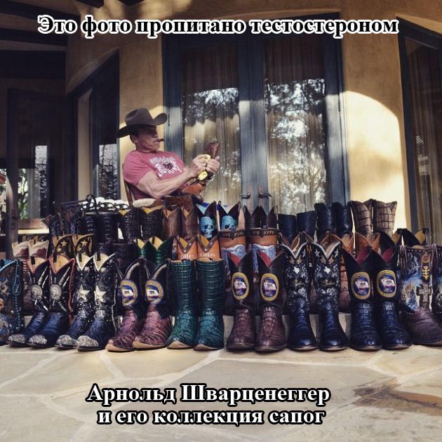 Веселая подборка фотоприколов