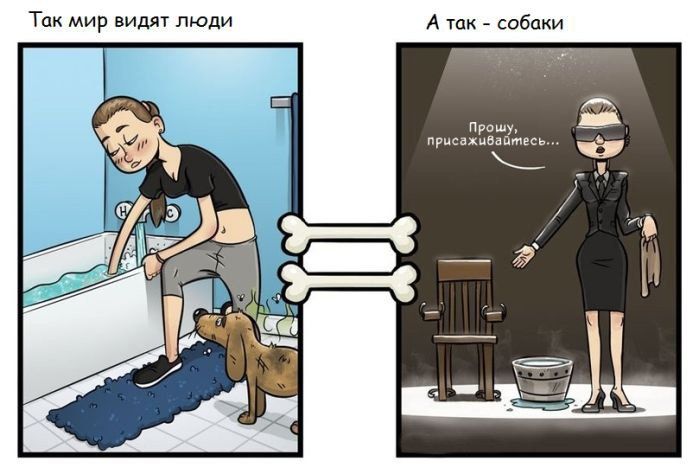Собаки видят окружающий мир так