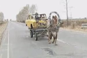 Прикольный трейлер к фильму "Фокус"