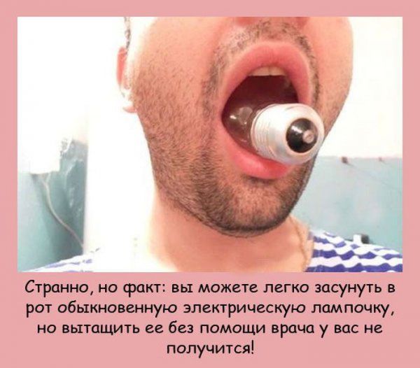 Интересные факты обо всём