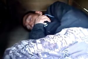 Выгнал собаку из будки