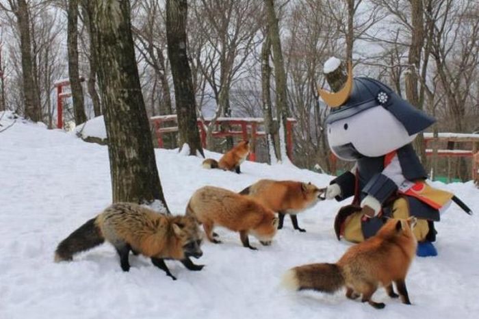 Удивительный японский заповедник