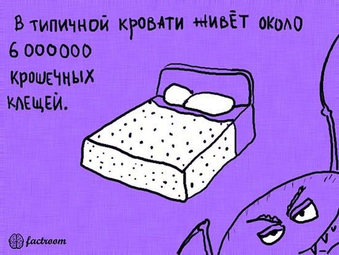 Интересные факты обо всём