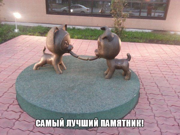 Прикольные фотомемы