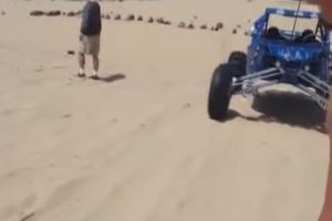 Подборка видео приколов за неделю