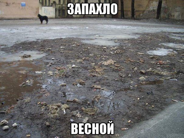Забавные фразы