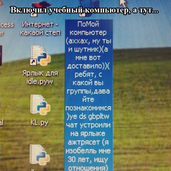 Уморительные фотоприколы