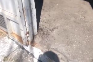 Обитель пауков