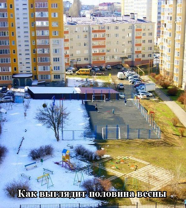 Уморительная подборка фотоприколов и просто красивых картинок