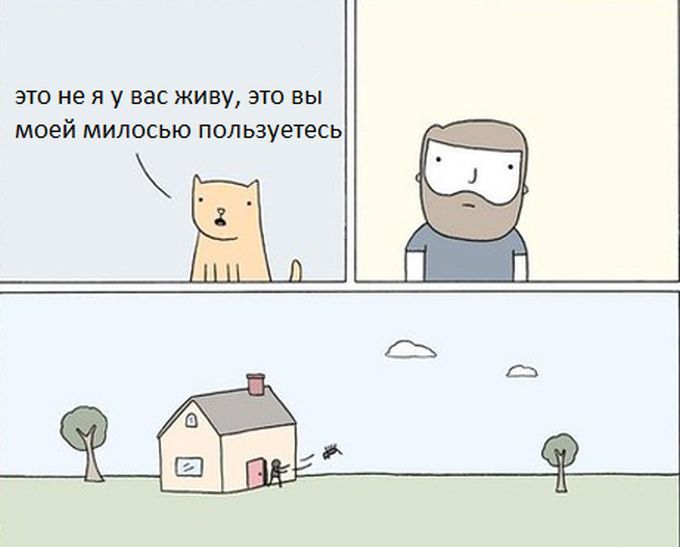 Забавные комиксы