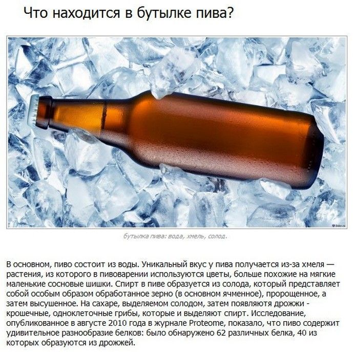 Интересные факты о пиве