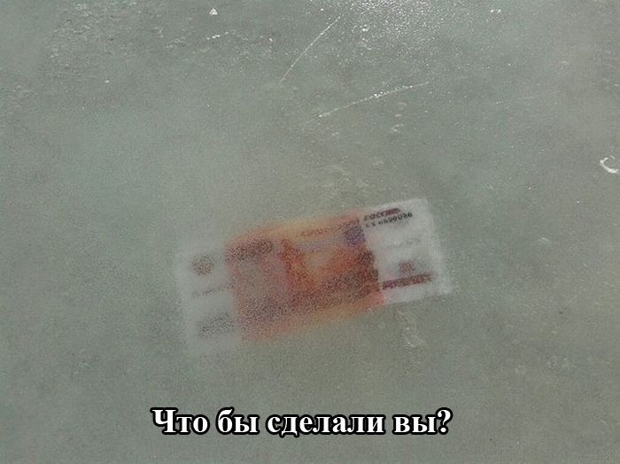 Уморительные фотоприколы