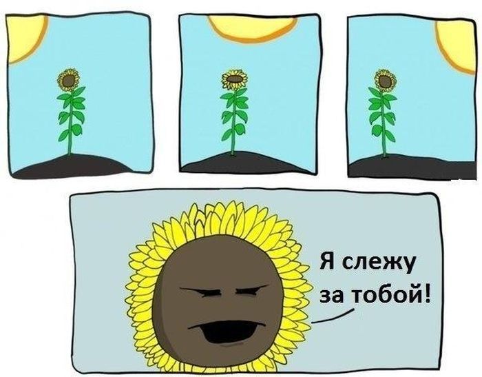 Забавные комиксы