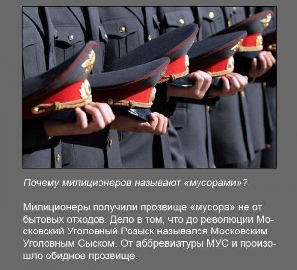 Интересные факты обо всём