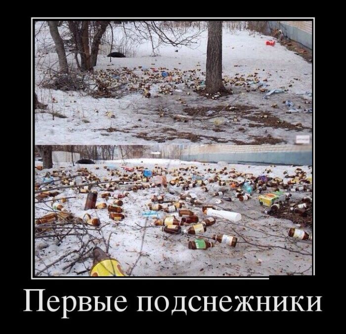 Сборник демотивационных приколов