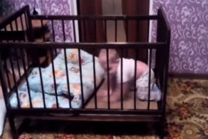 Малыш совершает побег