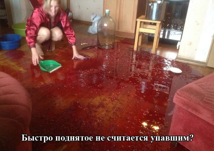 Веселая подборка фотоприколов и просто классных фото