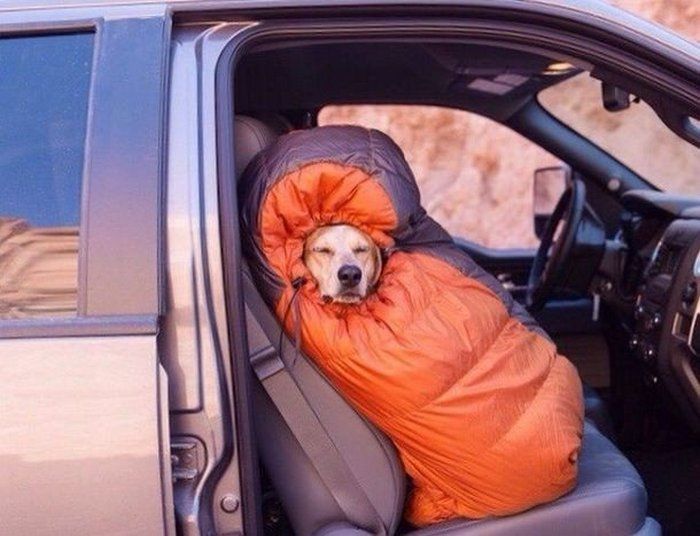 Автоприколы
