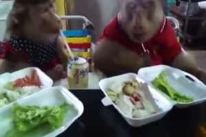 Обезьяны зашли поужинать