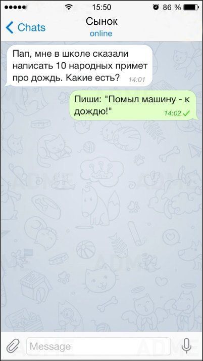 Интересные СМС