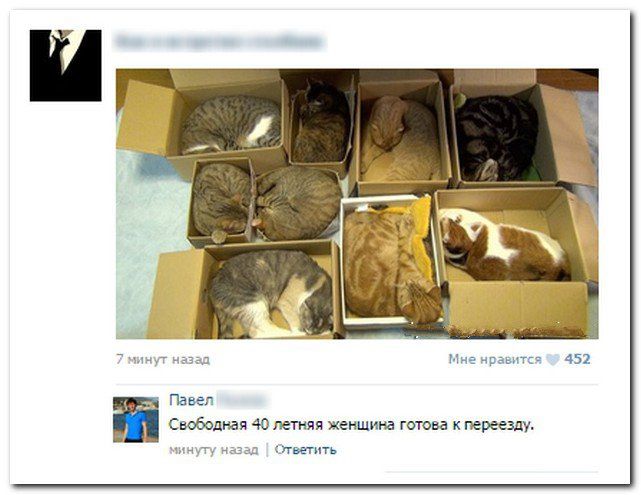 Смешные комментарии из социальных сетей