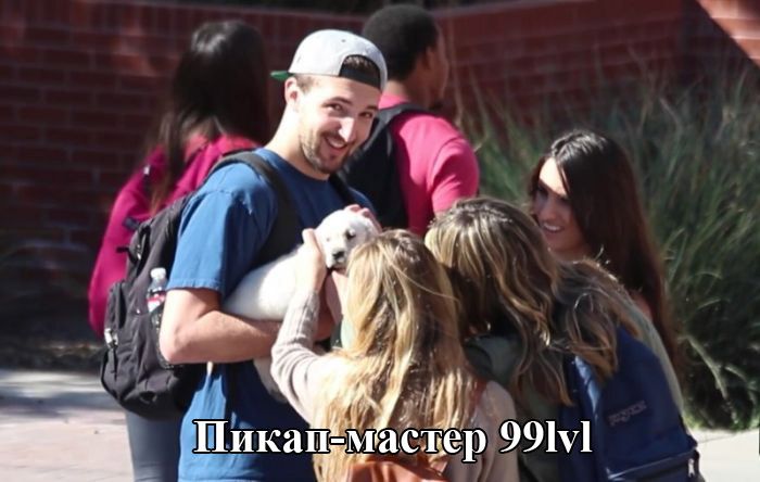 Смешные фотографии