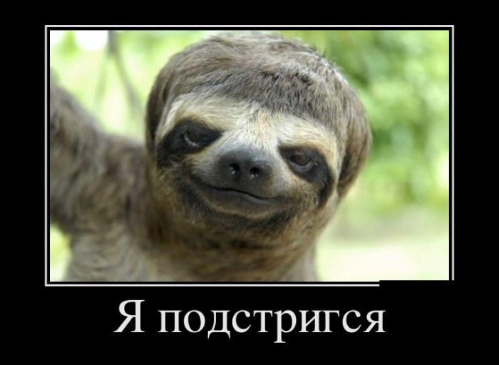 Классные демотиваторы