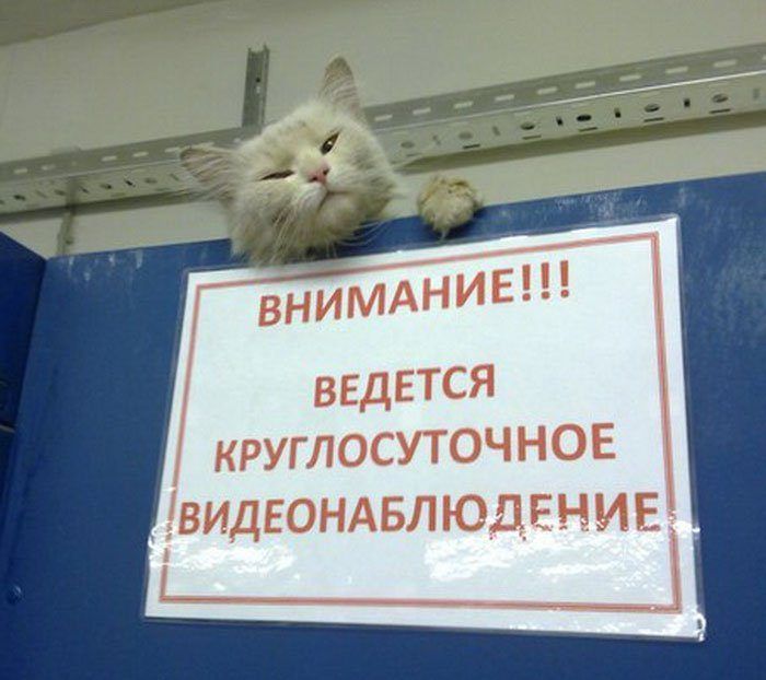 Сборник народного креатива