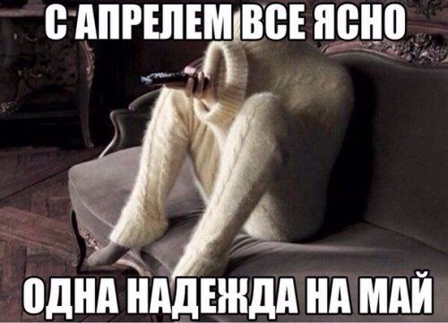 Забавные фотомемы