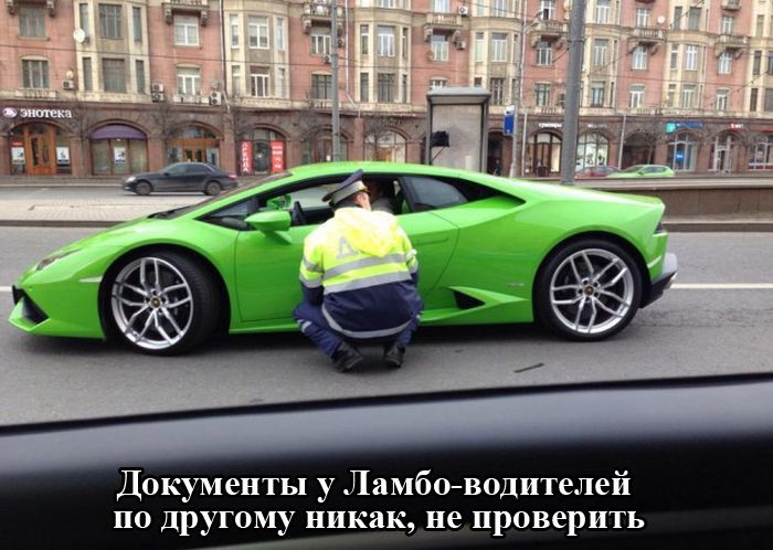 Уморительные фотоприколы