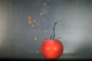 Влияние микроволн на разные продукты